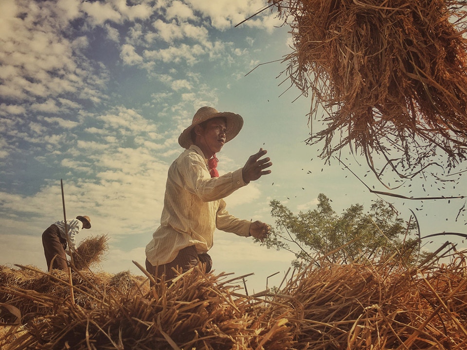 Лучшие фотографии 2016 года снятые на iPhone 15 iphone photography awards 14